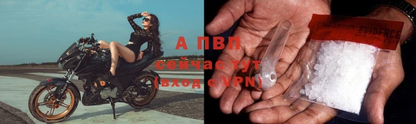 спиды Инсар