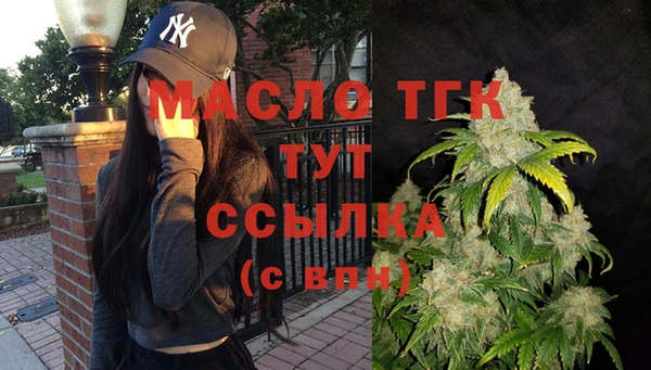 первитин Каменка