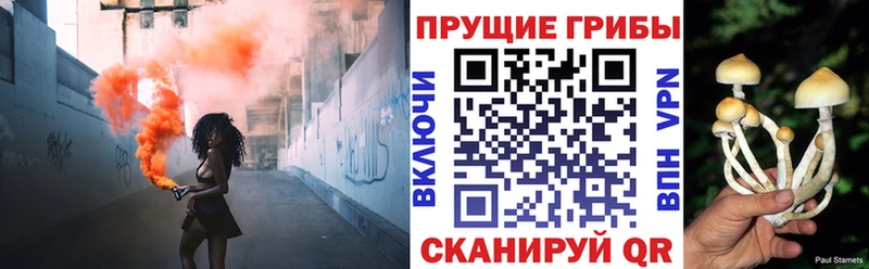 Купить закладки  Игарка  Псилоцибиновые грибы ЛСД 